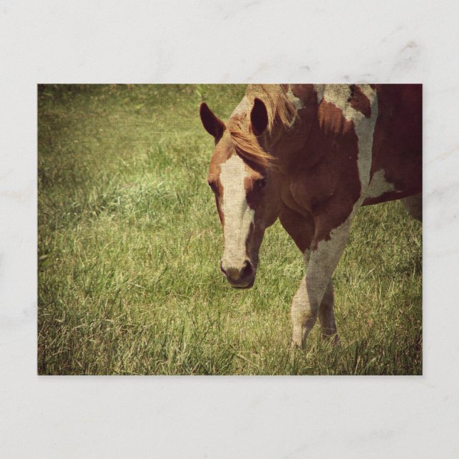 Cartão Postal Flashy (Frente)