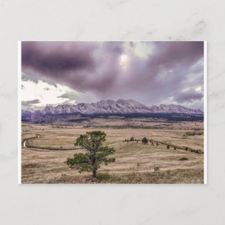 Cartão Postal Flátions no Sunset