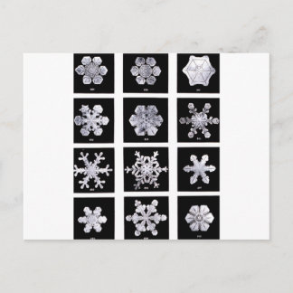 Cartão Postal Flocos de neve