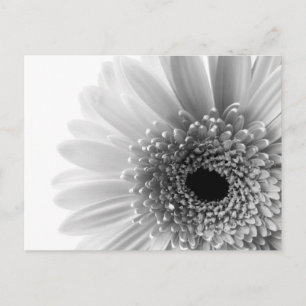 Cartão Postal Flor