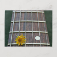 Flor amarela no pescoço de guitarra