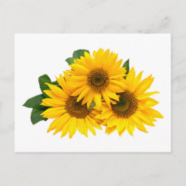 Cartão Postal Flor Amarelo Amarelo - Olá, Amor