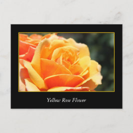 Cartão Postal flor, amor e romance de rosa amarela