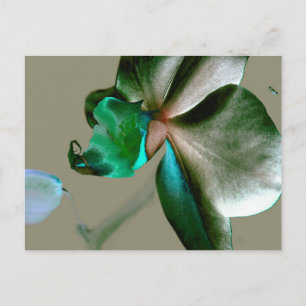 Cartão Postal Flor artística em tons azuis, verdes e cinzentos