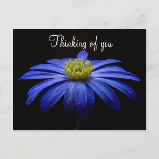 Cartão Postal Flor Azul