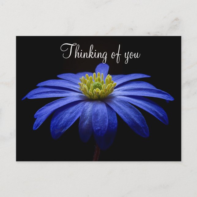 Cartão Postal Flor Azul (Frente)