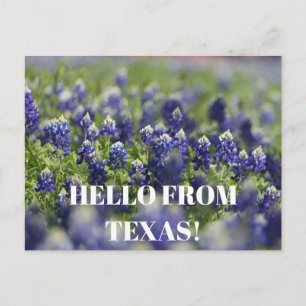 Cartão Postal Flor Azul Flor Azul Floral do Texas Bluetooth