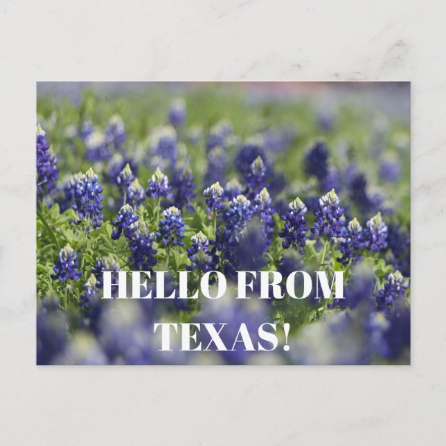 Cartão Postal Flor Azul Flor Azul Floral do Texas Bluetooth (Frente)