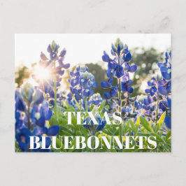 Cartão Postal Flor Azul Flor Azul Floral do Texas Bluetooth