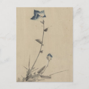 Cartão Postal Flor Azul Flor Flor e Bud no Fim de um Palco