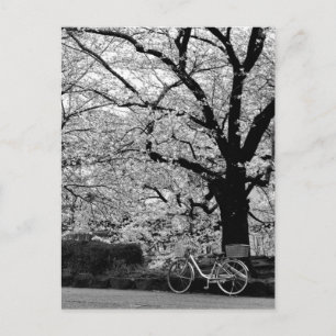 Cartão Postal Flor & Bicicleta: Japão