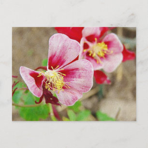 Cartão Postal Flor bonito 2