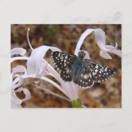Cartão Postal Flor borboleta e dançante