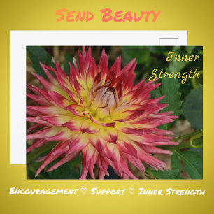 Cartão Postal Flor Botânica Amarelo e Vermelho Dália Flor