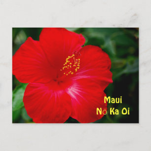 Cartão Postal Flor Brilhante Red Hibiscus, Maui Hawaii