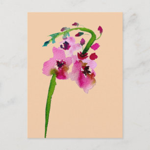 Cartão Postal Flor cor-de-rosa Verbascum floresce
