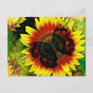 Cartão Postal Flor da Borboleta