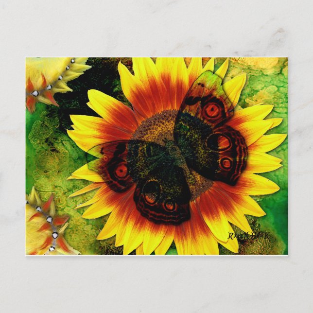 Cartão Postal Flor da Borboleta (Frente)