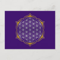 Flor da Vida - Ouro de prata de Lotus