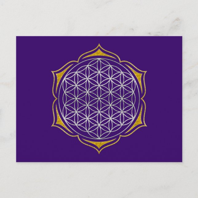 Cartão Postal Flor da Vida - Ouro de prata de Lotus (Frente)
