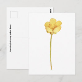 Cartão Postal Flor de botão-de-ouro amarelo em flor