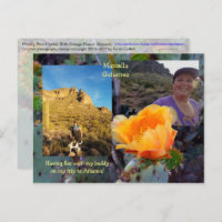 Flor de cactus de pera picante / Laranja / Arizona