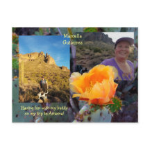 Flor de cactus de pera picante / Laranja / Arizona