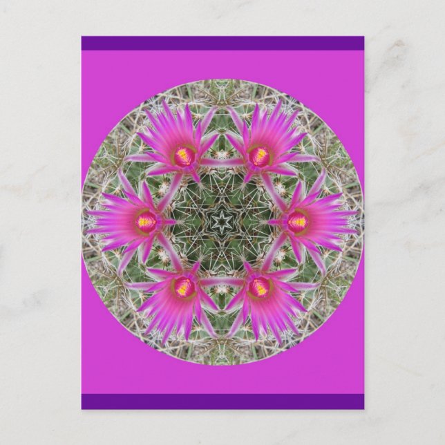 Cartão Postal Flor de Cactus Rosa (Frente)