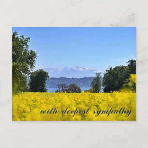 Cartão Postal Flor de Campo Amarelo Inspirador Colina Lago Simpa