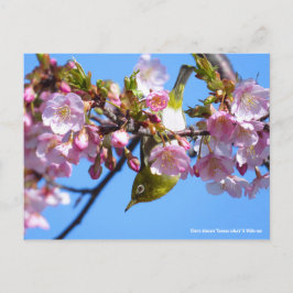 Cartão Postal Flor de cereja e olhos brancos [Cartão postal]