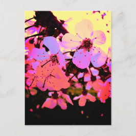 Cartão Postal Flor de Cereja Rosa Quente