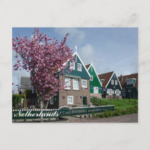 Cartão Postal Flor de cerejeira em Marken, Holanda