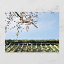 Cartão Postal Flor de Cerejeira: Templo Zojoji, Tóquio, Japão Po