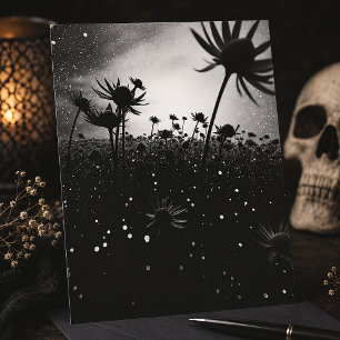 Cartão Postal Flor de Cosmos Preto e Branco Flor Silvestre Estre