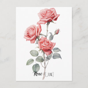 Cartão Postal Flor de Data de Nascimento Rosa (Junho)
