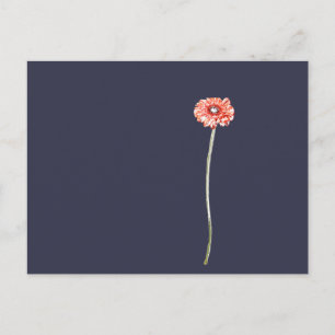 Cartão Postal Flor de Gerbera Vermelho Pálido