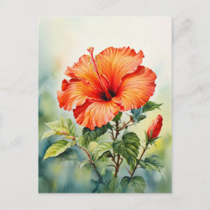 Cartão Postal Flor de Hibisco Laranja Aguarela Mensagem Personal