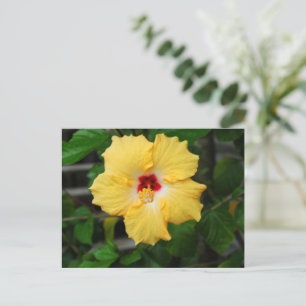 Cartão Postal Flor de Hibiscus Amarelo