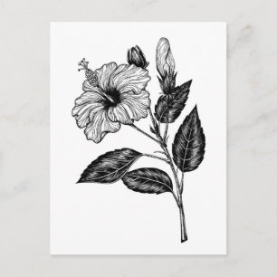 Cartão Postal Flor de Hibiscus III