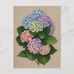 Cartão Postal Flor De Hydrangea Azul E Púrpura
