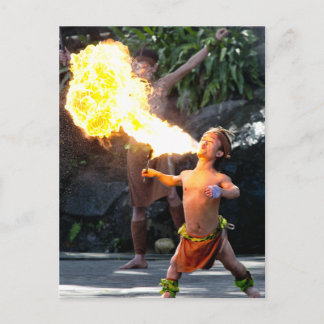 Cartão Postal Flor de incêndio