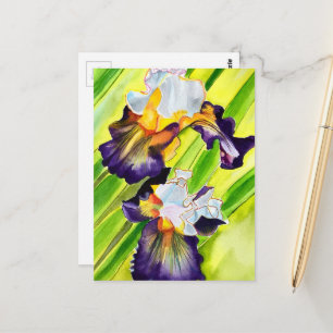 Cartão Postal Flor de íris em aquarela
