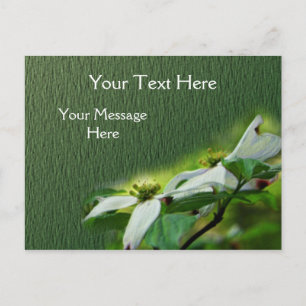 Cartão Postal Flor de Lenha Branca