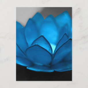 Cartão Postal Flor de Lotus Azul