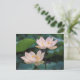 Cartão Postal Flor de lótus em floração, China (Em pé/Frente)