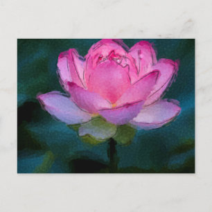 Cartão Postal Flor de Lotus Rosa
