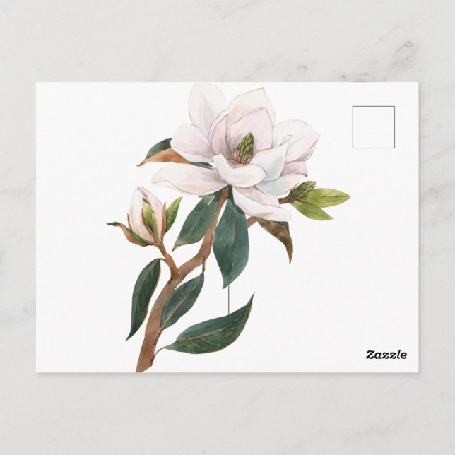 Cartão Postal flor de magnólia em aquarela (Verso)