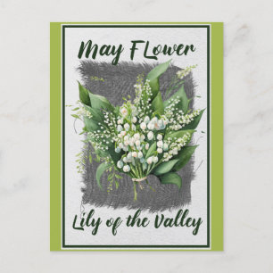 Cartão Postal Flor de Maio Vintage Lírio do Vale Floral