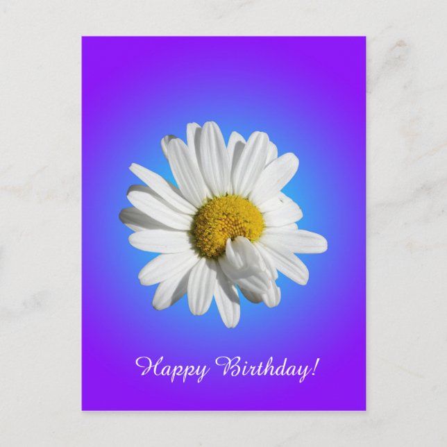 Cartão Postal Flor de Margarida Branca Gradiente Azul Roxo (Frente)