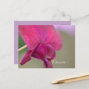 Cartão Postal Flor de Orquídea Rosa Kauai